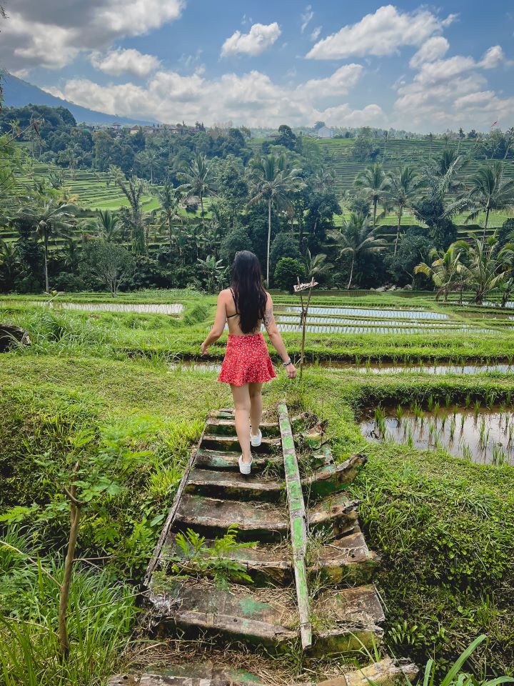 ruta por indonesia chica caminando de espalda en una escalera recta con vista a un arrozal